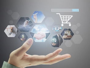 2019年兩大商機 互聯網信息服務助力普通人收入翻倍增長